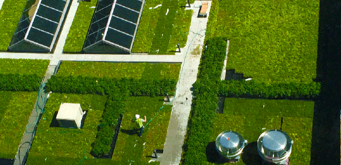 Apex Green Roofs image 5
