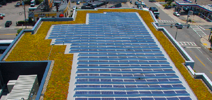 Apex Green Roofs image 1