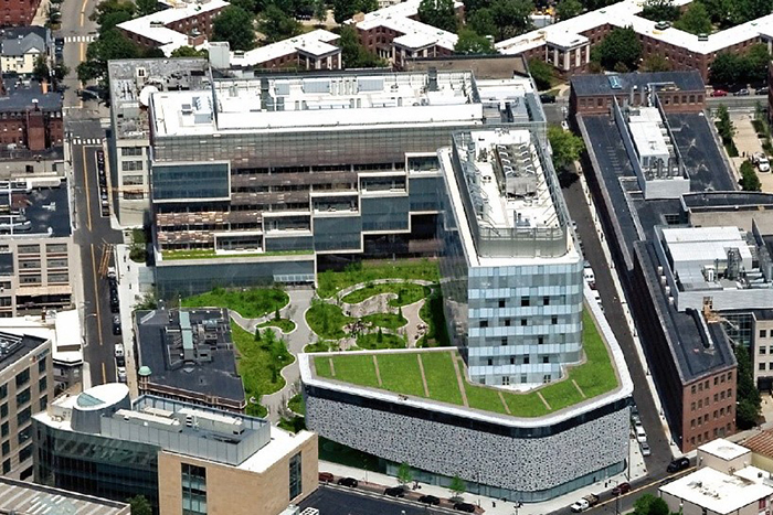 Apex Green Roofs image 27
