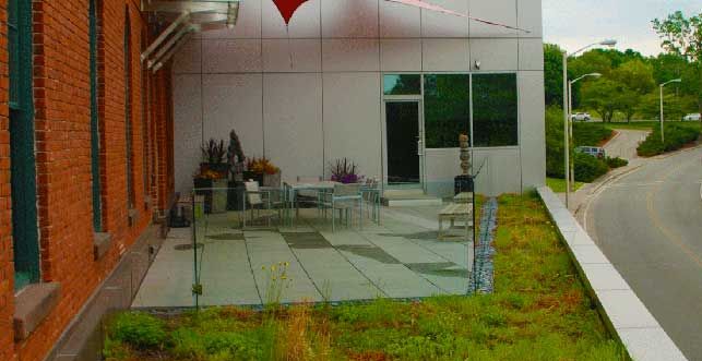 Apex Green Roofs image 13