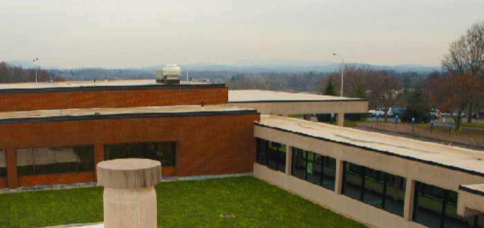Apex Green Roofs image 22