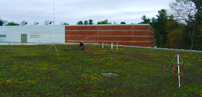 Apex Green Roofs image 36
