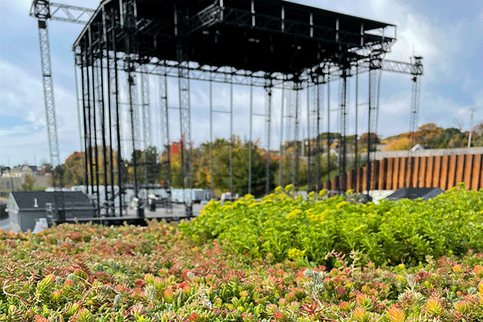 Apex Green Roofs image 35