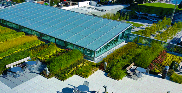 Apex Green Roofs image 20