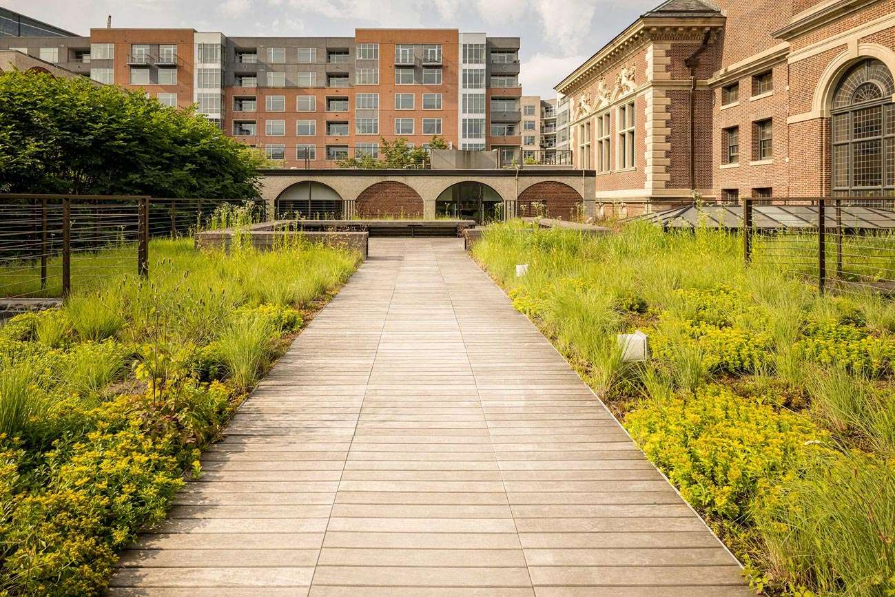 Apex Green Roofs image 17