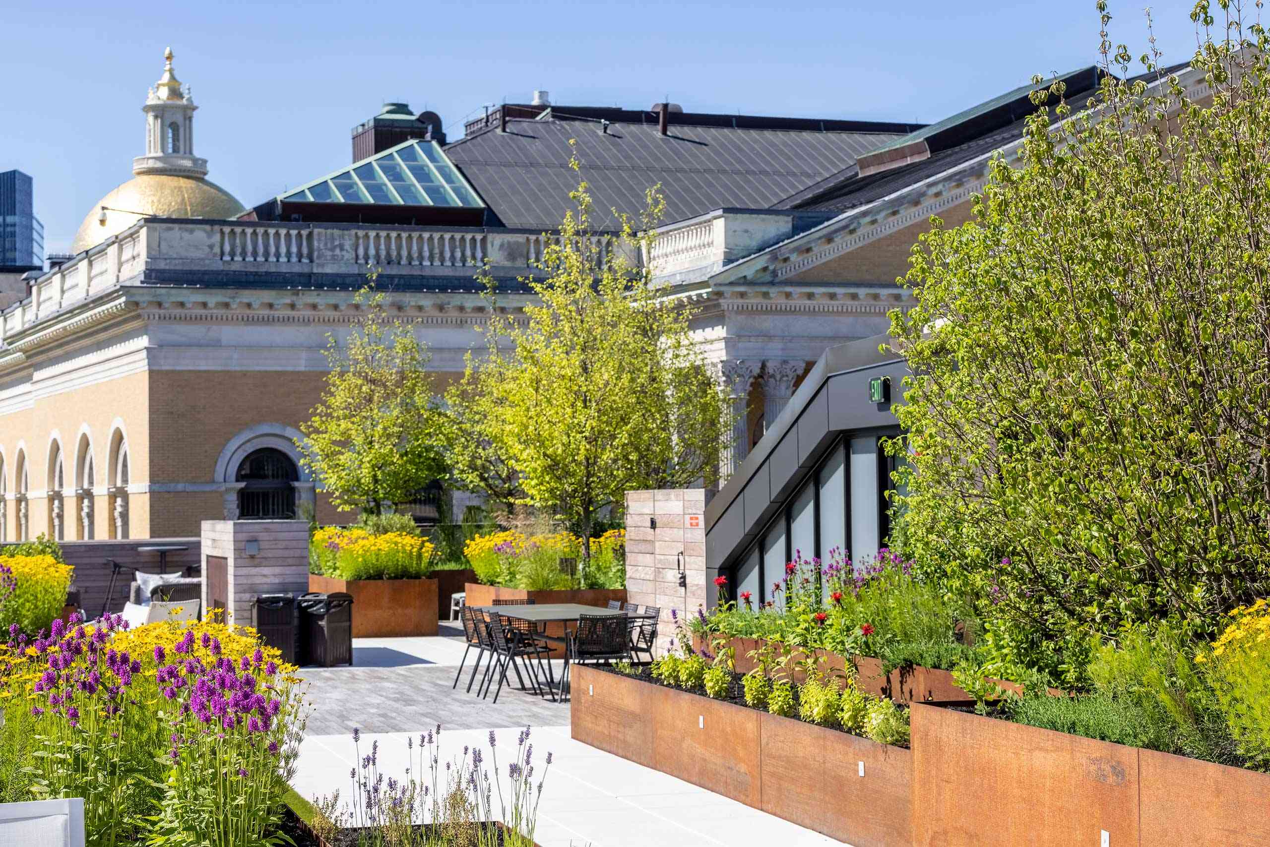 Apex Green Roofs image 33