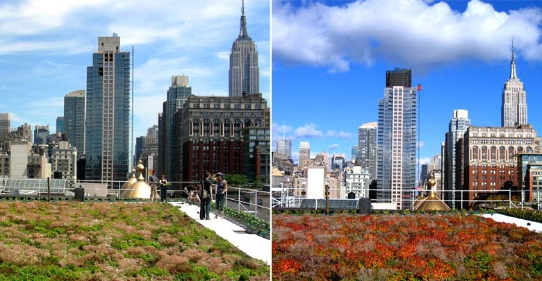 Green Roof Blocks image 9
