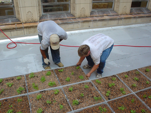 Green Roof Blocks image 5
