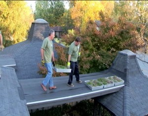 Green Roof Blocks image 3