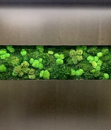 greenwalls Modular Planting Systems image 9