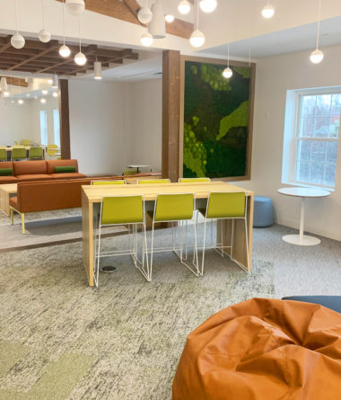 greenwalls Modular Planting Systems image 31