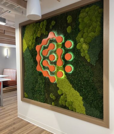 greenwalls Modular Planting Systems image 24