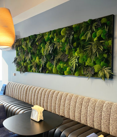 greenwalls Modular Planting Systems image 22
