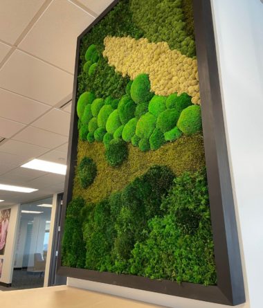 greenwalls Modular Planting Systems image 23