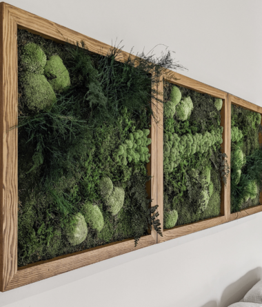 greenwalls Modular Planting Systems image 18