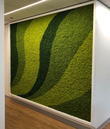 greenwalls Modular Planting Systems image 1