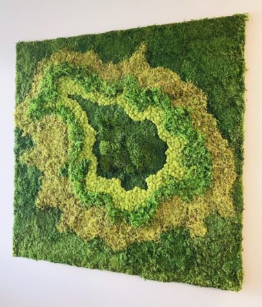 greenwalls Modular Planting Systems image 12