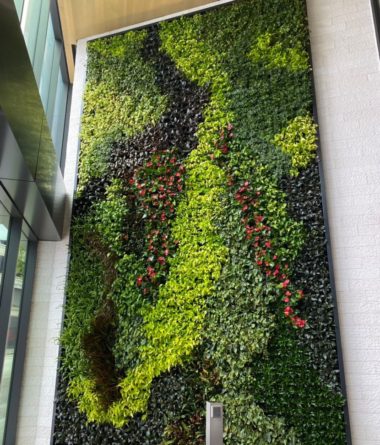 greenwalls Modular Planting Systems image 7