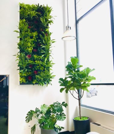 greenwalls Modular Planting Systems image 11