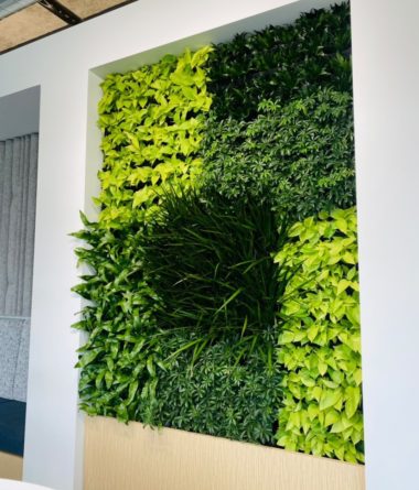 greenwalls Modular Planting Systems image 14
