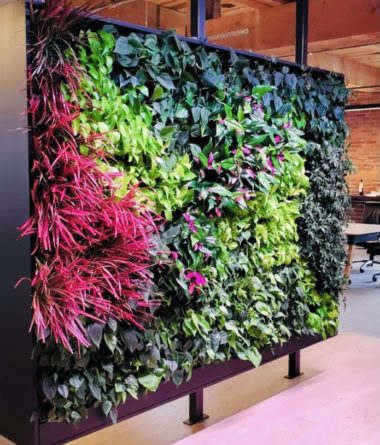 greenwalls Modular Planting Systems image 16