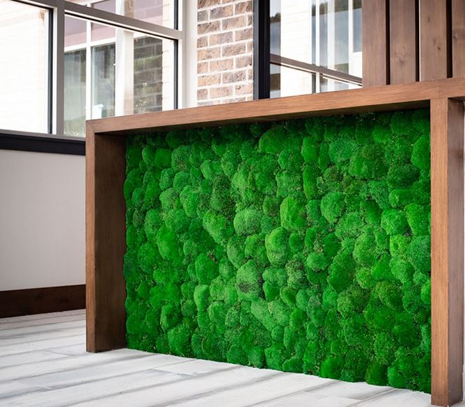 greenwalls Modular Planting Systems image 25