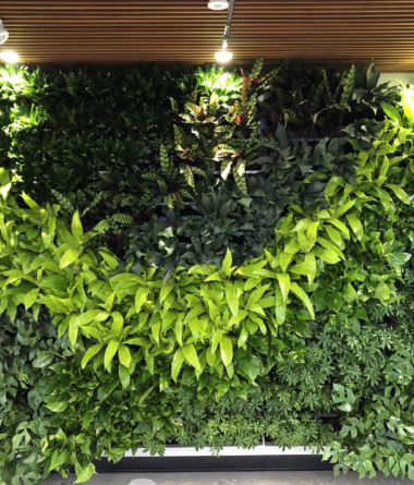 greenwalls Modular Planting Systems image 29