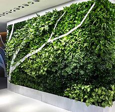 greenwalls Modular Planting Systems image 4