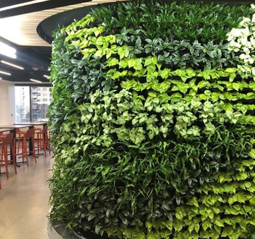 greenwalls Modular Planting Systems image 30