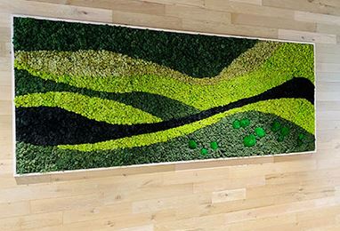 greenwalls Modular Planting Systems image 10