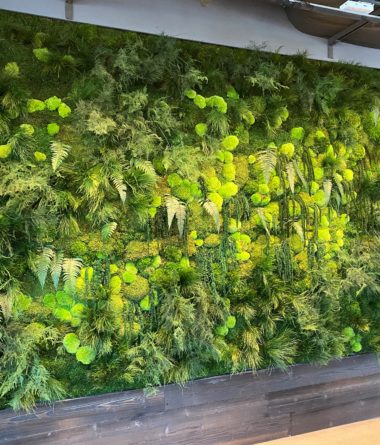 greenwalls Modular Planting Systems image 3