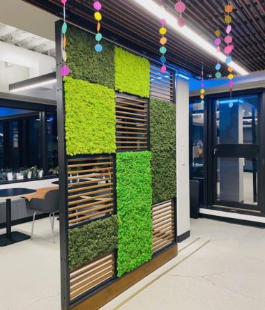 greenwalls Modular Planting Systems image 21