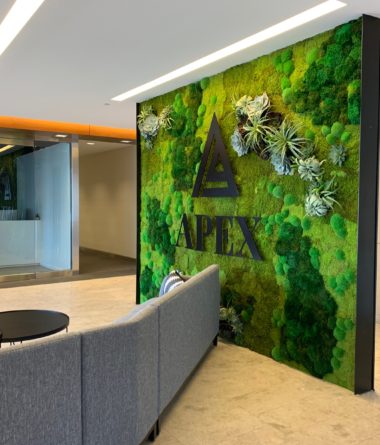 greenwalls Modular Planting Systems image 19