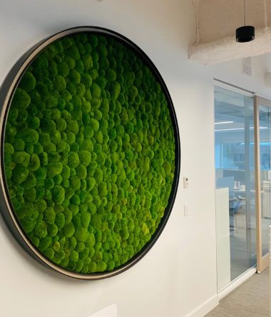 greenwalls Modular Planting Systems image 5
