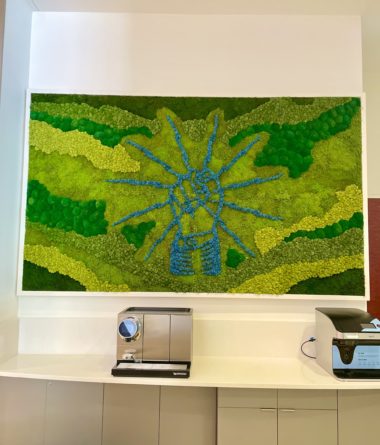 greenwalls Modular Planting Systems image 17