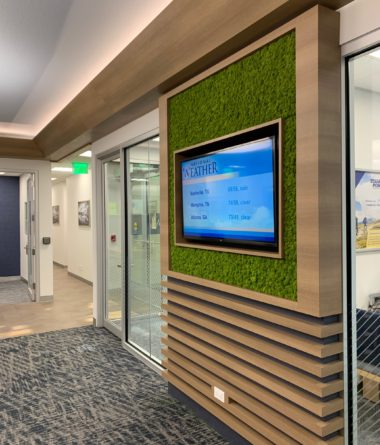 greenwalls Modular Planting Systems image 20