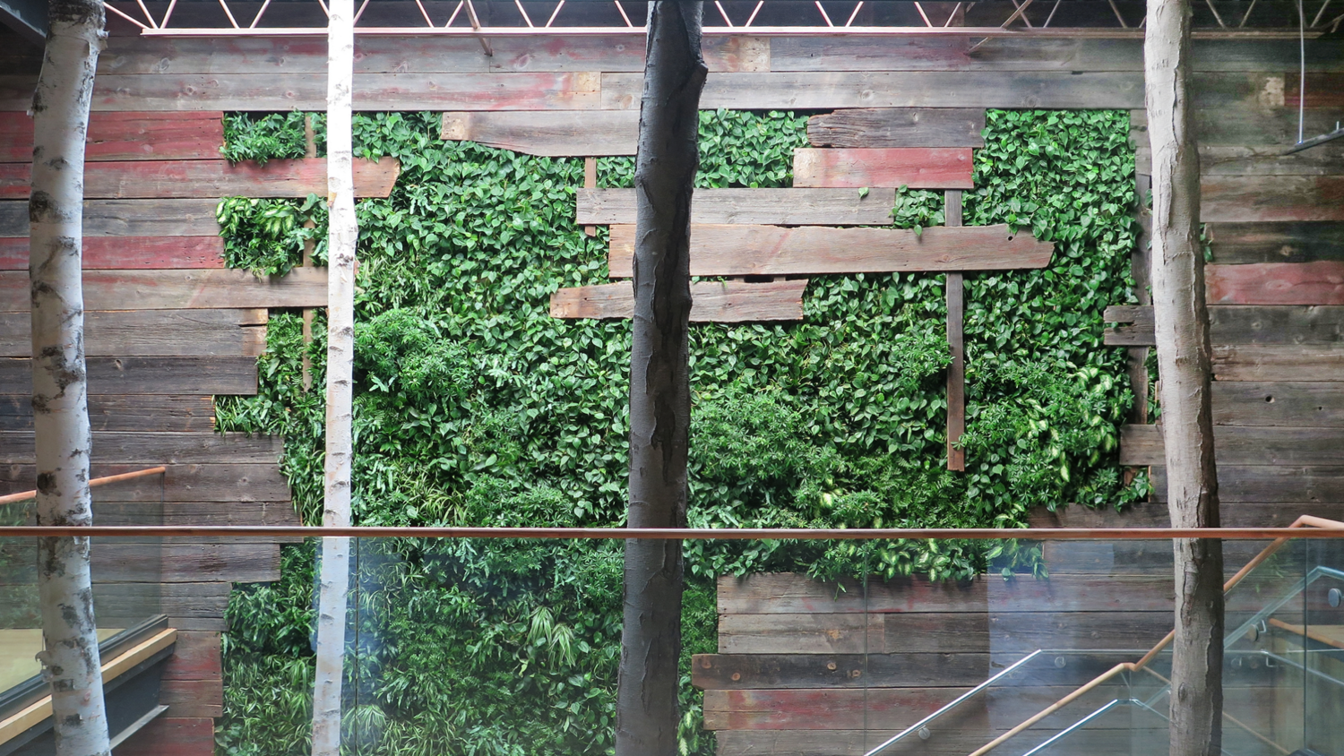Sagegreenlife image 10