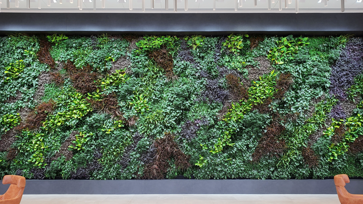 Sagegreenlife image 2