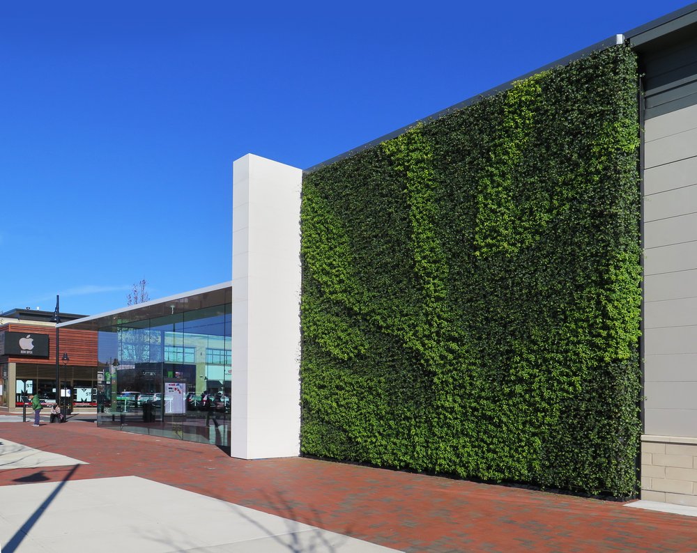 Sagegreenlife image 7