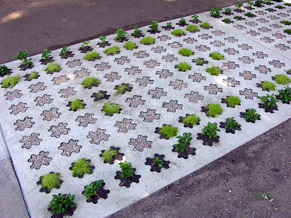 Green Innovations image 1