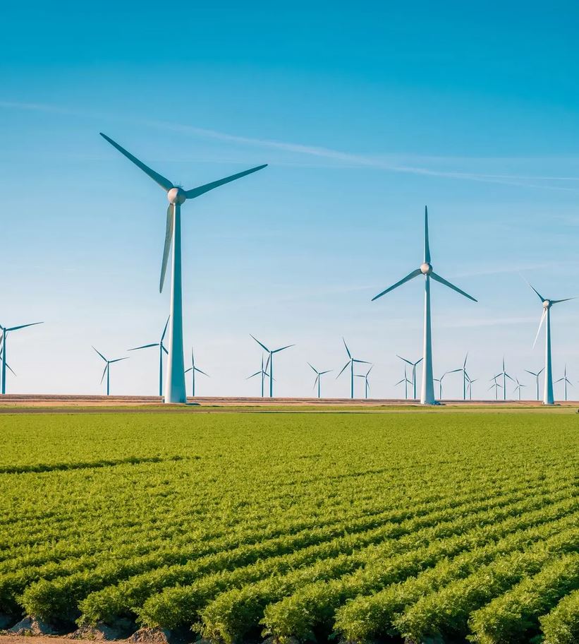 Sustainability