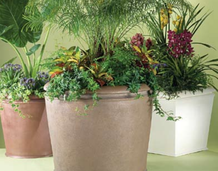 Primescape Products image 4