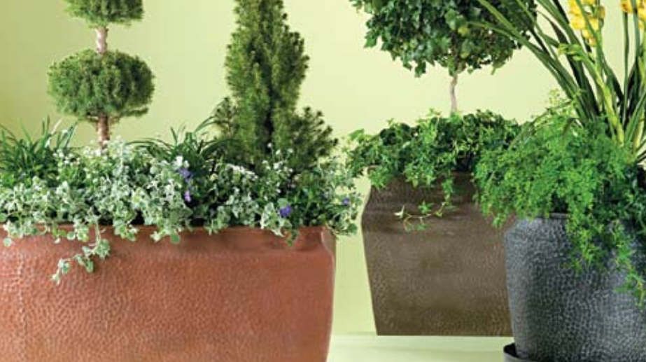 Primescape Products image 2