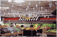 Ceiling Designs image 1