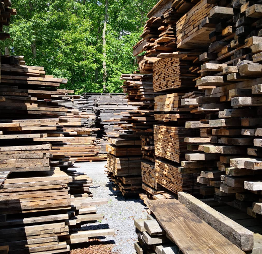 Appalachian Woods image 9