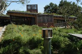 Green Roofs for Healthy Cities image 1