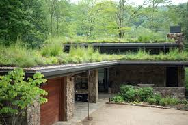 Green Roofs for Healthy Cities image 5