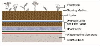 Green Roofs for Healthy Cities image 6