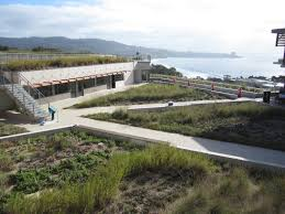 Green Roofs for Healthy Cities image 11