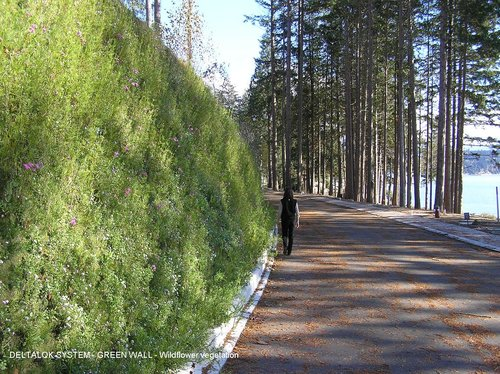 Green Roofs for Healthy Cities image 8